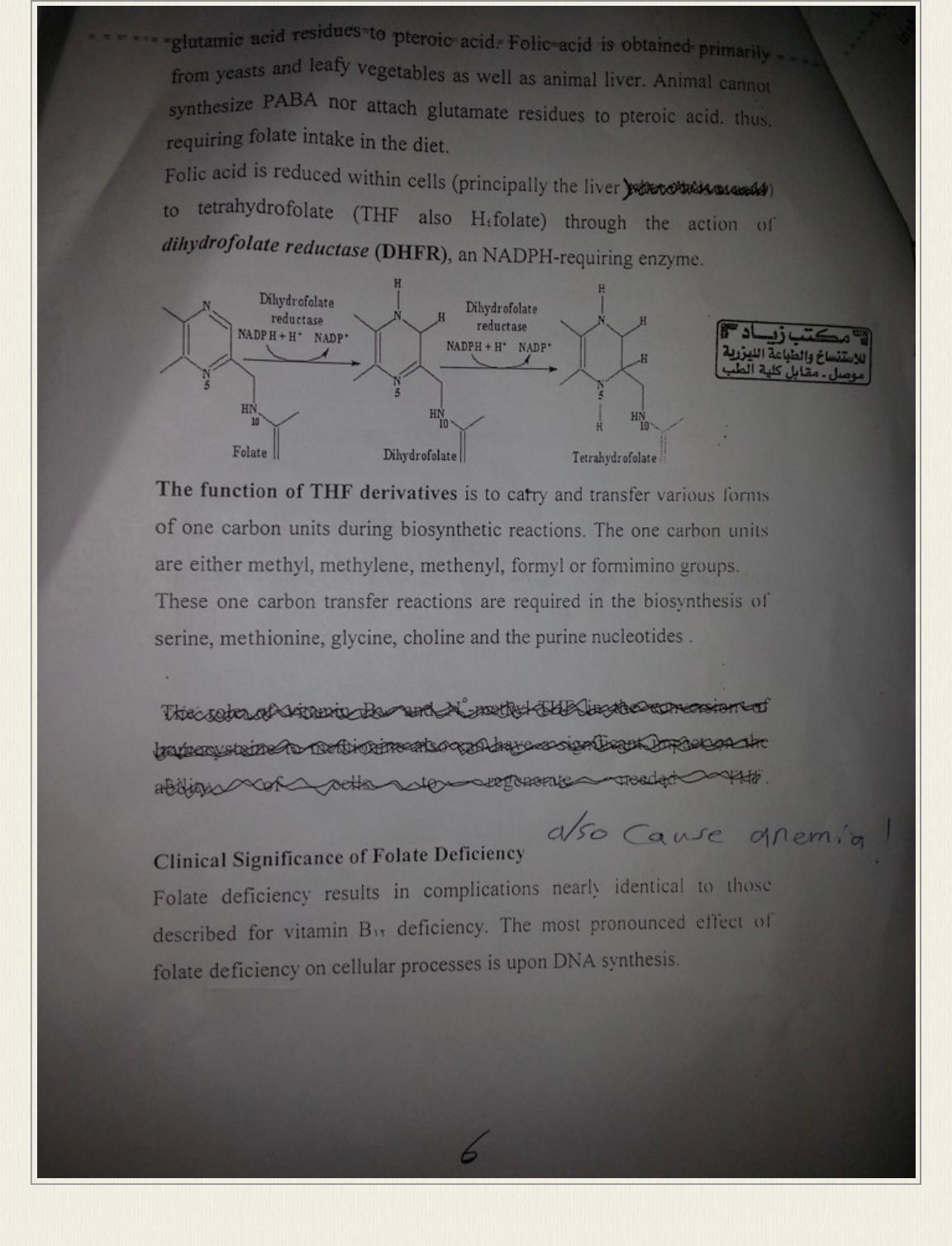 cobalamine pdf غير معروف Muhadharaty
