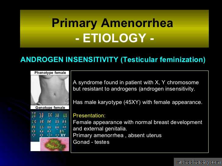 Amenorrhea 