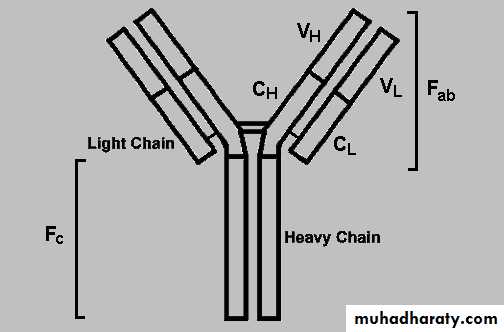 Relativistic Particle