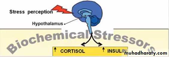 Endocrine System pptx - د.ياسر - Muhadharaty