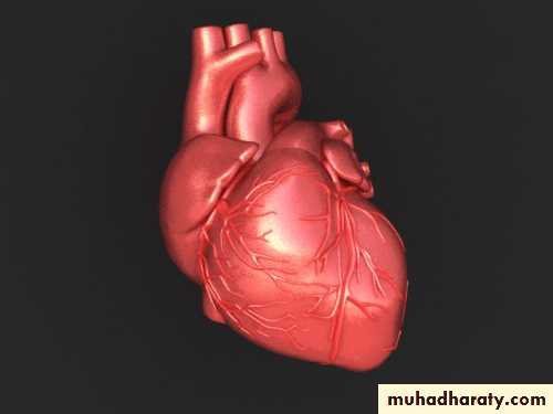 Heart disease pptx - د صادق الهماش - Muhadharaty
