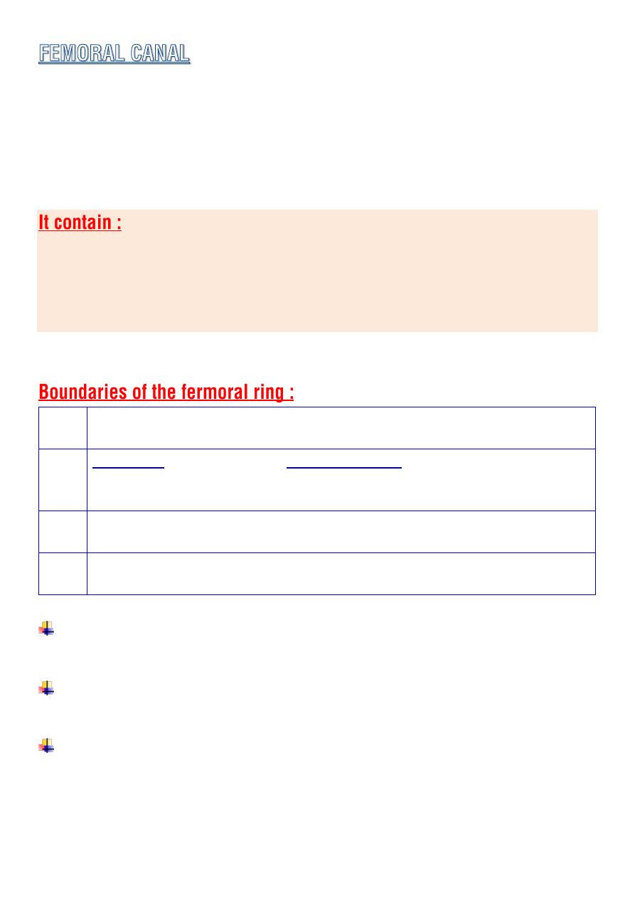 NM: Femoral triangle (COMPLETE from notes and net anatomy) Flashcards |  Quizlet