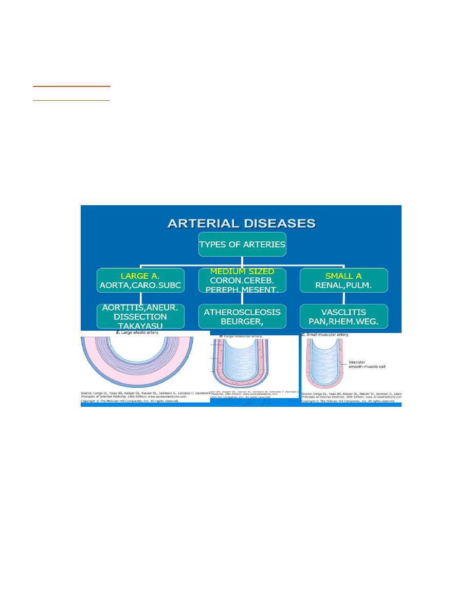 16.coronary artery disease pdf - د. صباح - Muhadharaty