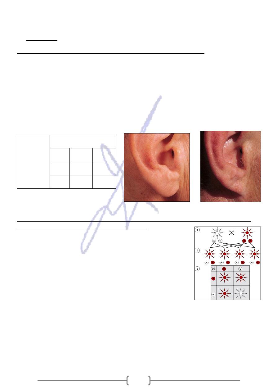 In Autosomal Dominant Inheritance Jsp Detid