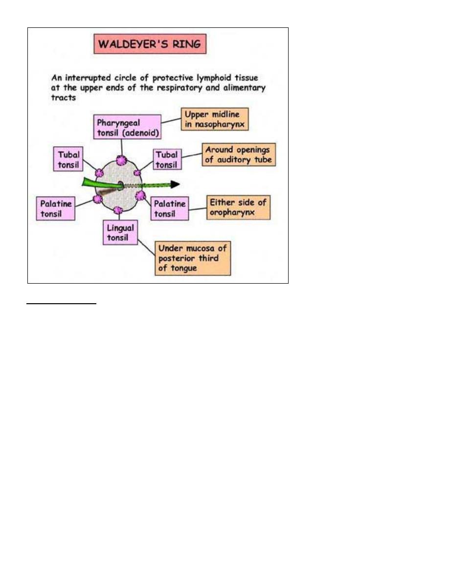 Figure 8 from Oncological PET-CT in children. Pearls and pitfalls |  Semantic Scholar