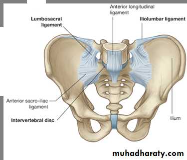Pelvic Fractures pptx - D. Haider - Muhadharaty