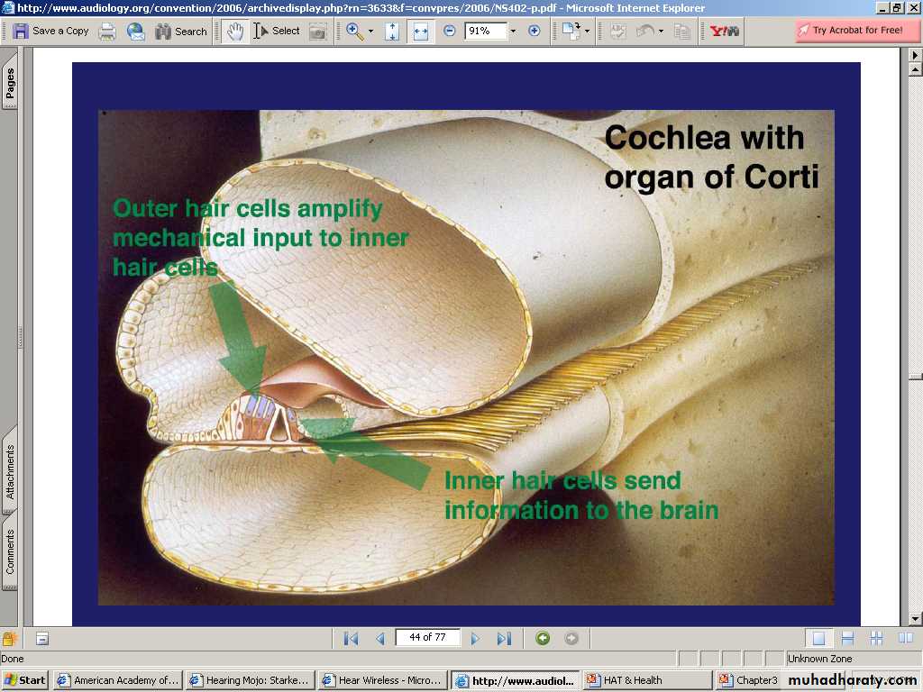 Anatomy and Physiology of Hearing pptx - D. Mushtaq - Muhadharaty