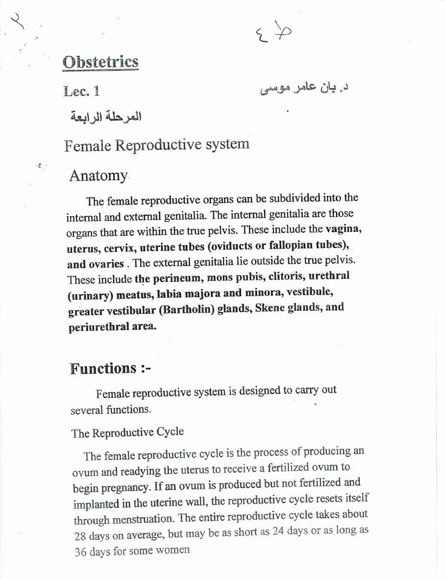 Female Reproductive System pdf - بان عامر موسى - Muhadharaty