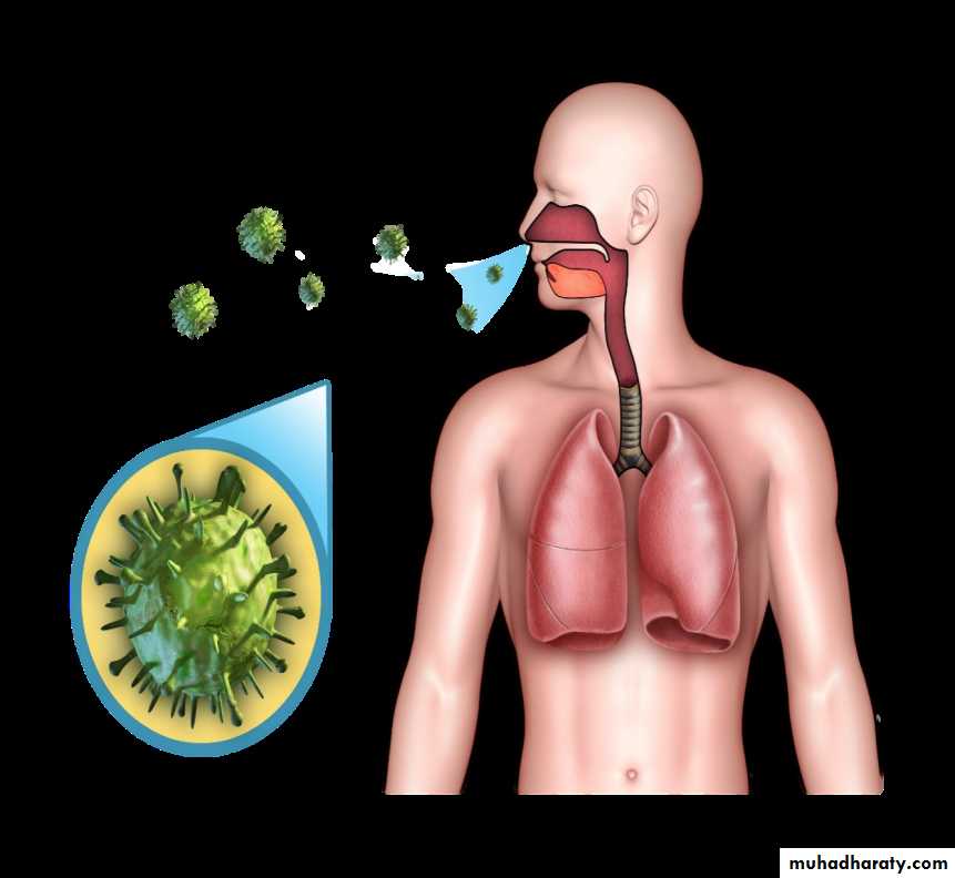 Overview of Viral Infections pptx D. Mohammed Muhadharaty