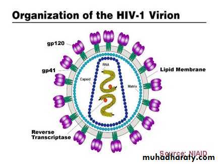 how are retroviruses unique from other types of viruses