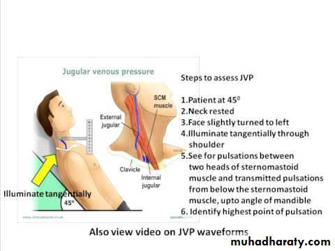 The Cardiovascular System 4 pptx - D. Noor - Muhadharaty