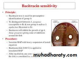 Systemic Bacteriology
